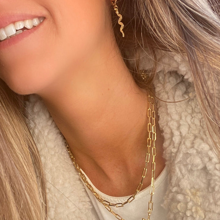 Argollas Hoops Snake
