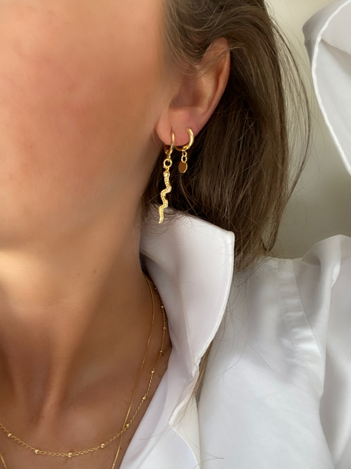 Argollas Hoops Snake